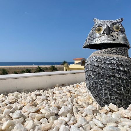 Vivienda Gorrion Daire Morro Jable  Dış mekan fotoğraf