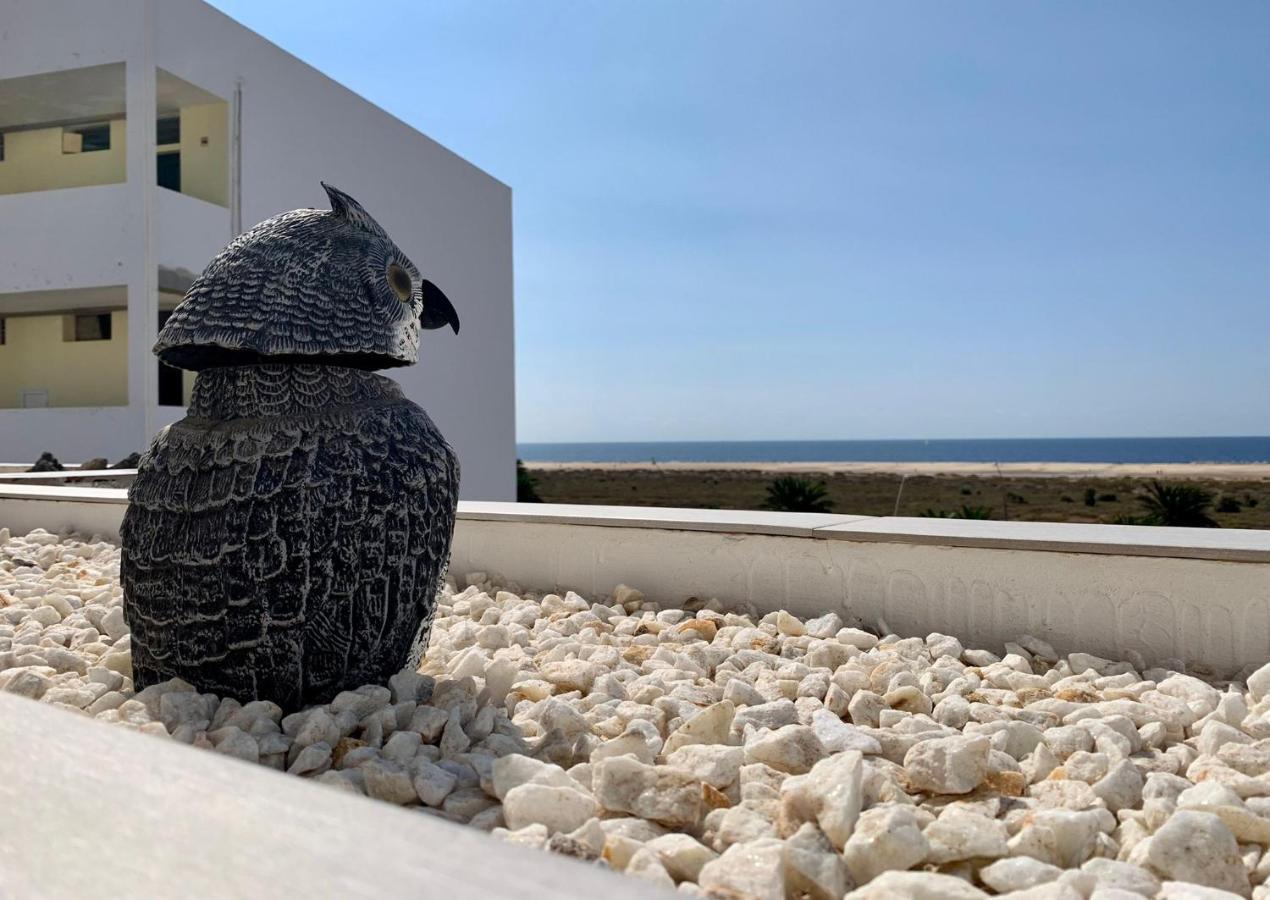 Vivienda Gorrion Daire Morro Jable  Dış mekan fotoğraf